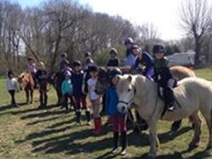 Pony Parties for children