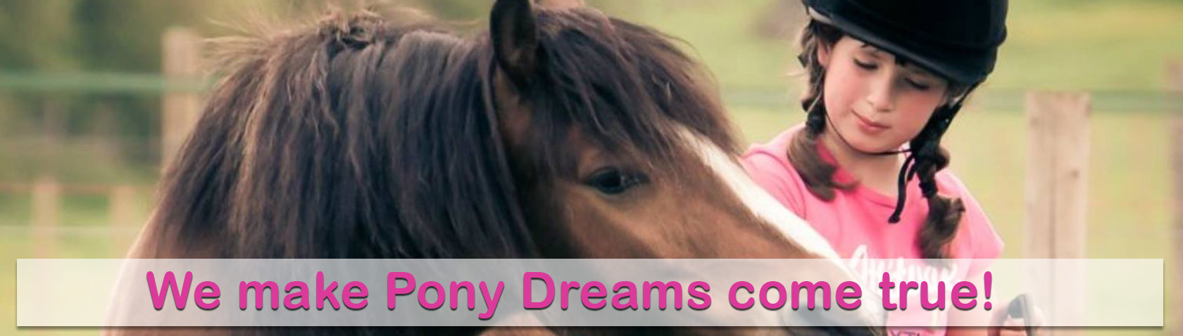 The Pony Academy UK